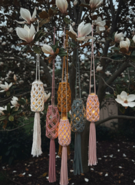 L A M P I O N - V A A S J E