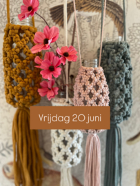 L A M P I O N N E N - V A A S J E S vrijdag 20 juni