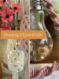 L A M P I O N - V A A S J E S dinsdag 23 juni 2026