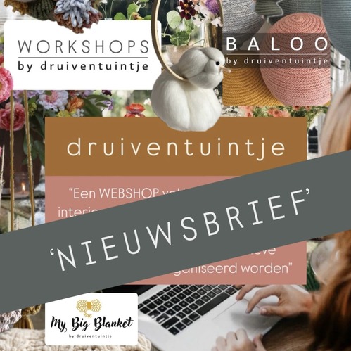 Nieuwsbrief logo