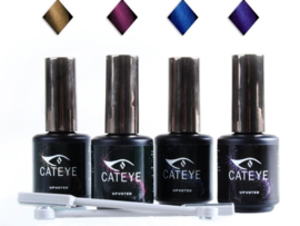 CatEye