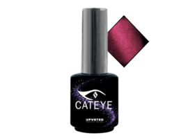Upvoted #002 CatEye Chartreux
