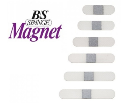 B/S Magnet Spange