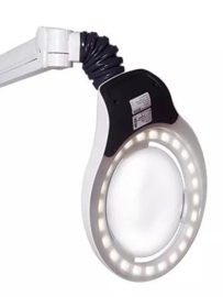 Luxo Circus LED loeplamp