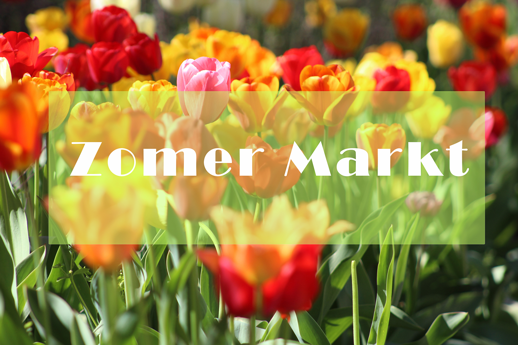 Zomer Markt