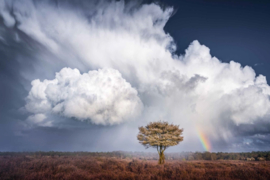 Terra boeken The Beauty of the Netherlands - Albert Dros