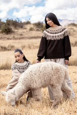 Apu Kuntur Solana Alpaca Sweater - Mandel