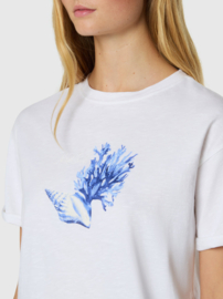 North Sails T-Shirt Short Sleeve - White