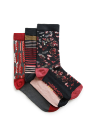 Weird Fish Parade Eco Patterned Socks  3 pack - Rich Red AW22