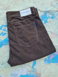 North Sails Stripe 1987 pants - cocoa AW22