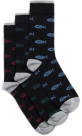 Weird Fish RONAN Eco Branded Socks 3 Pack - Black AW22