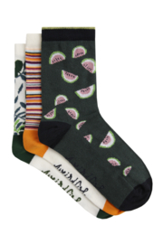 Weird Fish Parade Eco Patterned Socks  3 pack - Ivy