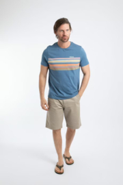 Weird Fish Cody Printed Stripe T-Shirt - Washed Blue