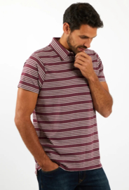 Weird Fish LAPFORD Striped Polo - Plum