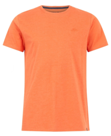 Weird Fish Fished Eco Branded Tee - Orange