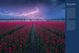 Terra boeken The Beauty of the Netherlands - Albert Dros