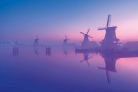 Terra boeken The Beauty of the Netherlands - Albert Dros