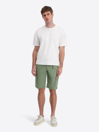Timezone Regular RykerTZ Short - Sea Green
