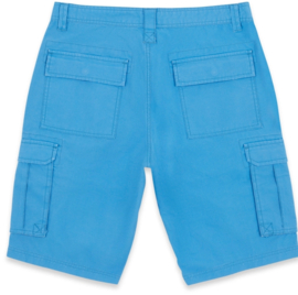 Mousqueton Donan Cargo Shorts - Myosotis