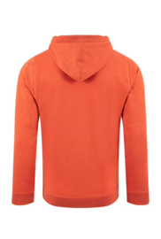 Weird Fish Bryant Graphic Pop Over Hoodie - Rust Leaves
