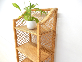 vintage rotan kast jaren 60 riet plantentafel boekenkast