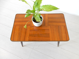 retro vintage bijzettafel plantentafel jaren 60
