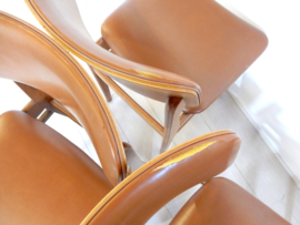 Pastoe Stoelen