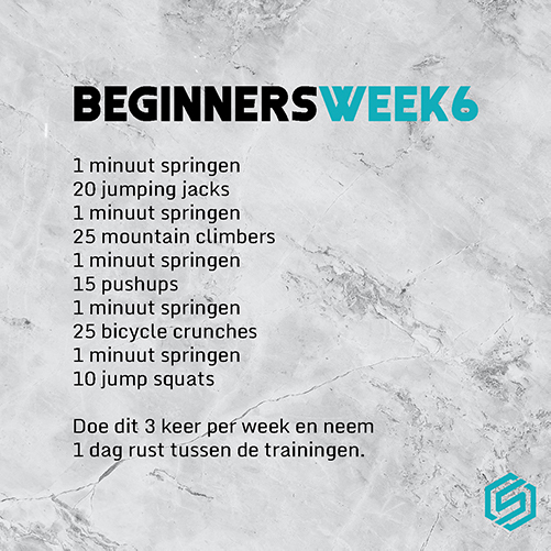 Armstrong Hol Malaise Beginnners | SportSpringtouw.nl | Springtouw workouts