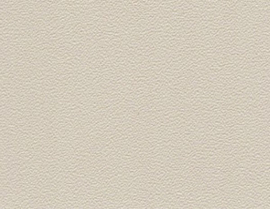Solidly Colored Earth Grey 122CM