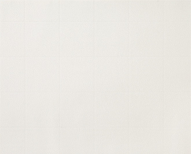 D-C-Wall® Ceramics Caserta White 67,5CM X 4M