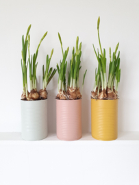 DIY Lente Blikjes