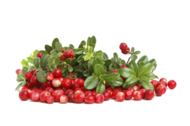 1 ltr. Wild Cranberry opgietconcentraat - EXTRA GECONCENTREERD