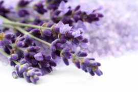 1 ltr. Lavendel etherische olie voor verstuiver