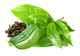 1 ltr. Aloe vera/groene thee opgietconcentraat - EXTRA GECONCENTREERD