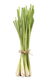 1 ltr. Lemongrass opgietconcentraat - EXTRA GECONCENTREERD