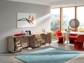 PFAFF creative PERFORMANCE 950