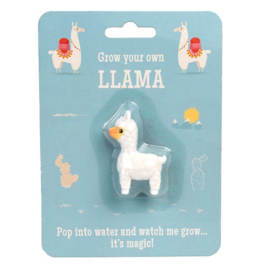 Grow your own lama
