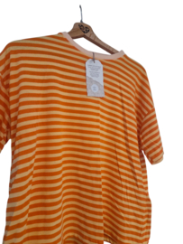 Tshirt streepjes roze/blauw