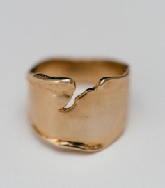 Ring Valley zilver of gold-plated