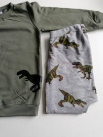 Sweater Dino groen 50/56