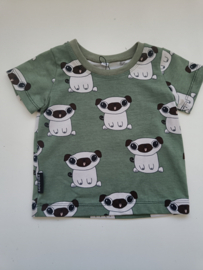 Shirt pugs groen