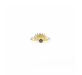 Ring Empowered zilver of gold-plated