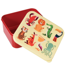 Rex London Colourful Creature lunchbox