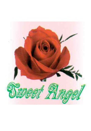 sport ondergoed Sweet Angel 8pack maat M/L