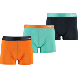 Apollo Jongensondergoed 3 Bamboe Boxershorts Multi Ocean