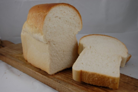 wit brood