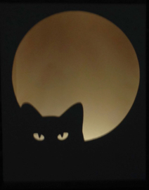 Nachtlamp Kat