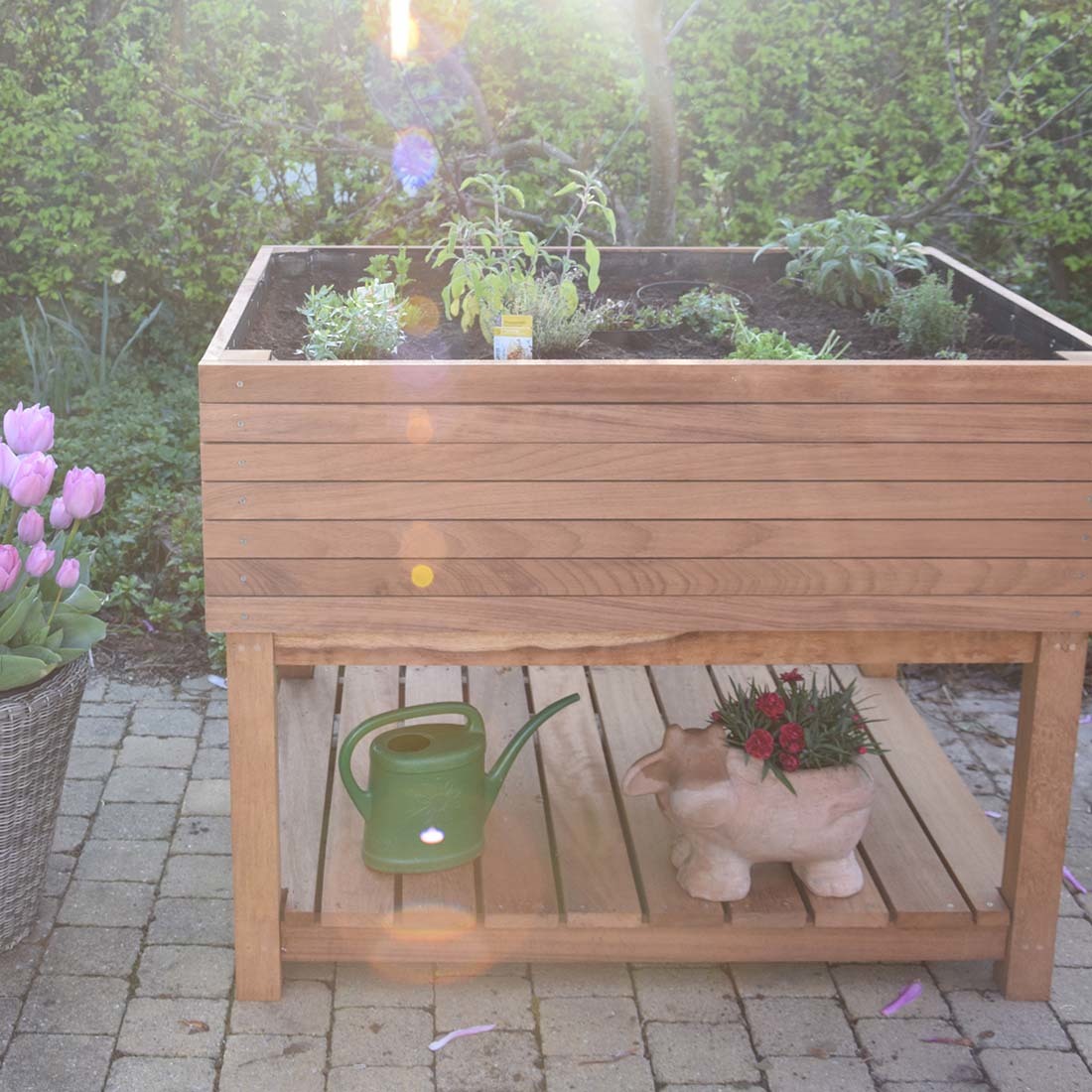 Plantenbak Iroko