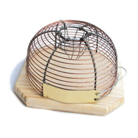 Piège à souris