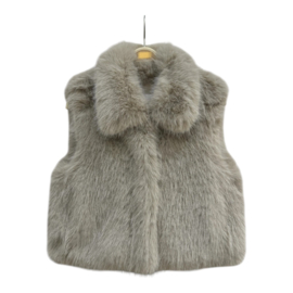 Heerlijk bont vestje in het taupe .
